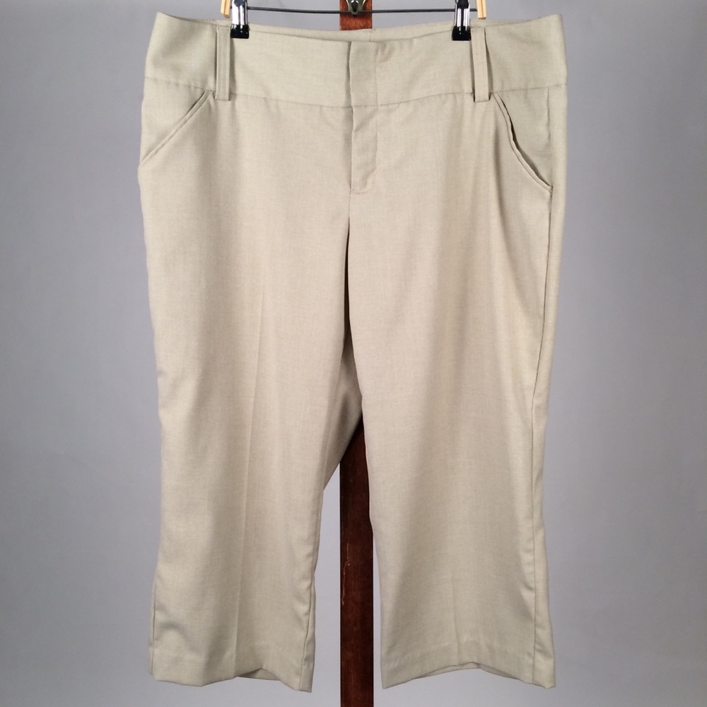 Daisy Fuentes Capris